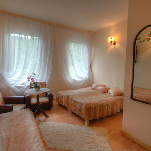 Pokój 3-osobowy z łazienką z widokiem na góry