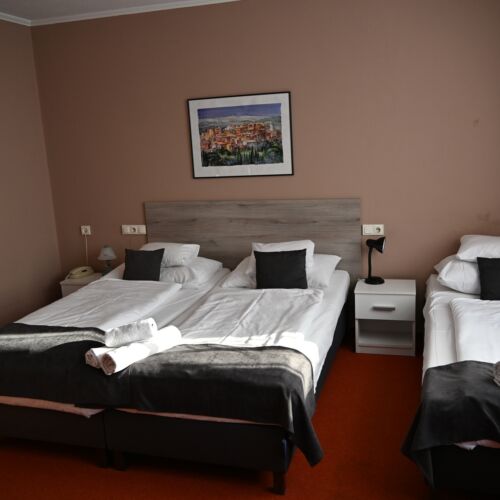 Standard Triple Room with Shower