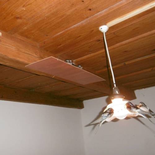 Rolnický dům (jako celek) se sprchou pro 2 os. s výhledem do dvora