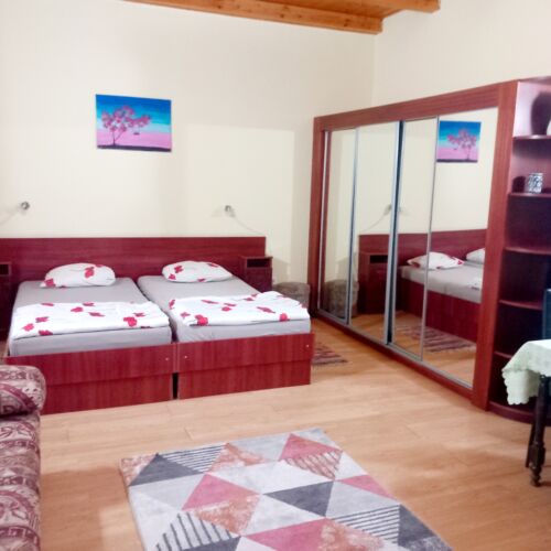 Apartament la parter 