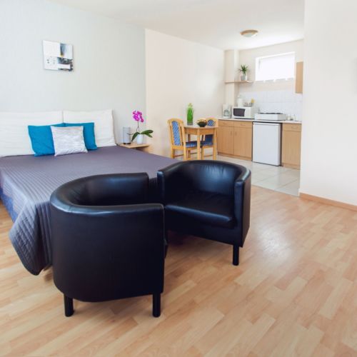 Apartament confort gold cu 1 camera pentru 2 pers.