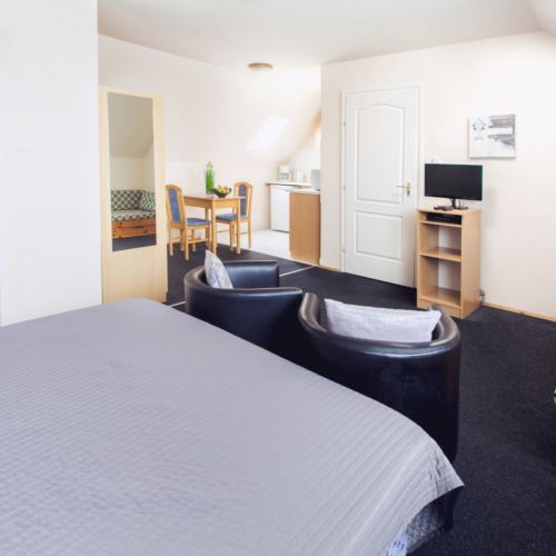 Apartament confort gold cu 1 camera pentru 2 pers. (se poate solicita pat suplimentar)