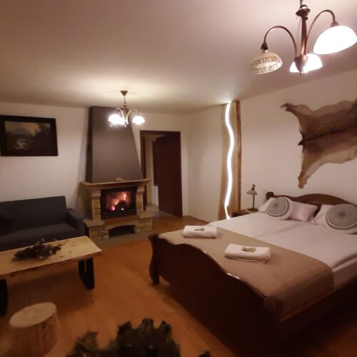 Comfort Family 5 Person Room