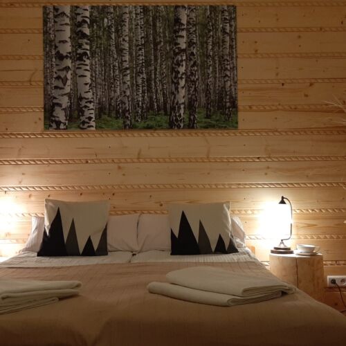 Family 5 Person Room with Garden