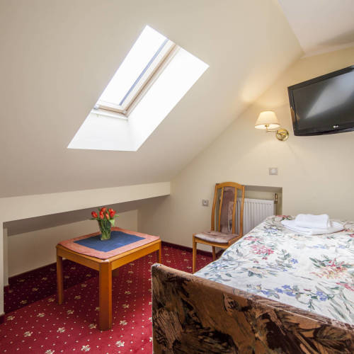 Single Room with LCD/Plasma TV