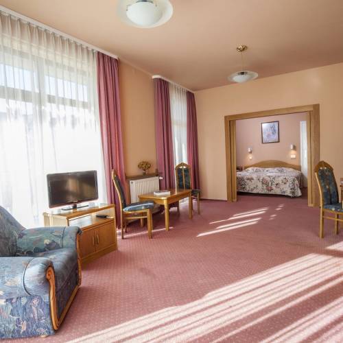 Apartament 4-osobowy z widokiem na góry z 1 pomieszczeniem sypialnianym