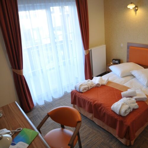 Camera single confort cu vedere spre parc