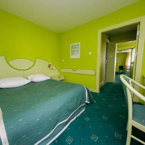 Apartament cu 1 camera pentru 2 pers. (se poate solicita pat suplimentar)