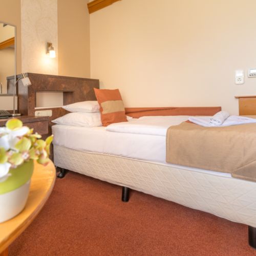 Camera single classic cu vedere spre lac