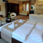 Mansard 1-Room Suite for 2 Persons with Bathtub