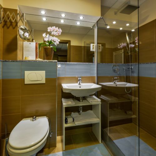 Apartament superior cu 1 camera pentru 2 pers. (se poate solicita pat suplimentar)