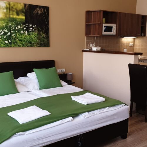 Studio Apartman s manželskou postelí s 1 ložnicí v přízemí