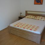 Standard 2-Room Family Apartment for 4 Persons (extra bed available)