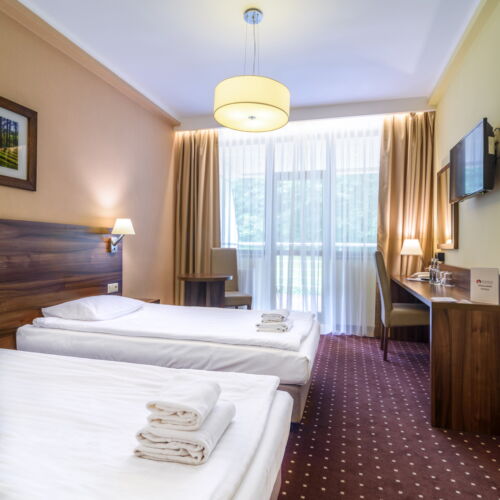 Pokój 2-osobowy Standard z widokiem na las