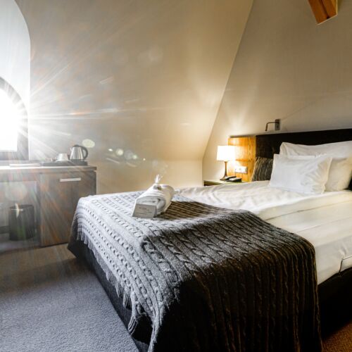 Standard Einzelzimmer mit Badezimmer