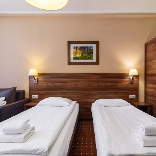 Pokój 2-osobowy Standard Plus z widokiem na las (możliwa dostawka)