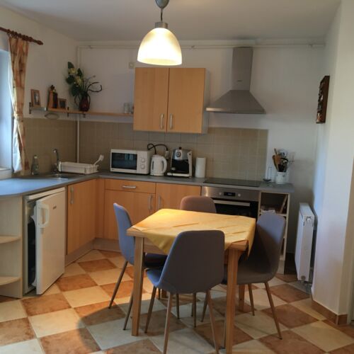 Apartament la parter cu aer condiționat cu 1 camera pentru 4 pers.