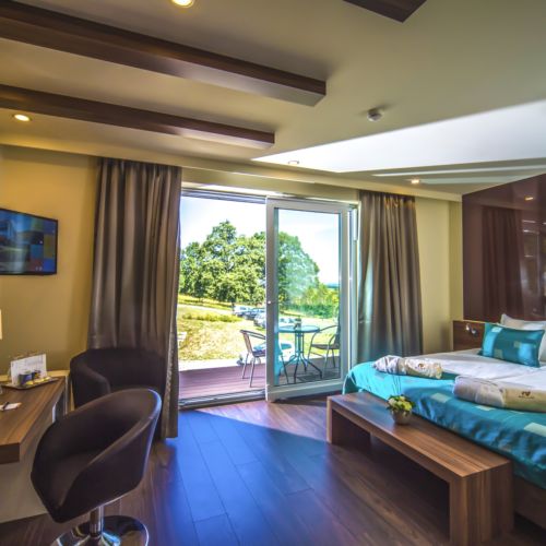 Standard Double Room