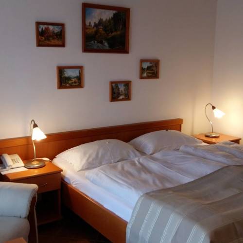 Standard Pokoj se sprchou s manželskou postelí (s možností přistýlky)