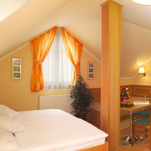 Camera tripla standard Plus cu cadita de dus (se poate solicita pat suplimentar)