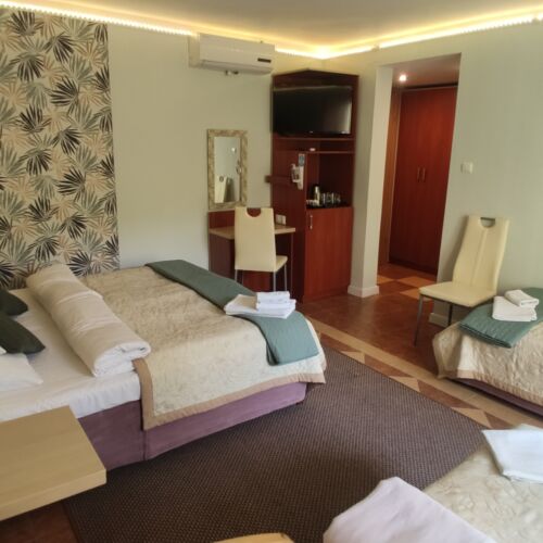 Camera tripla standard Plus lCD TV