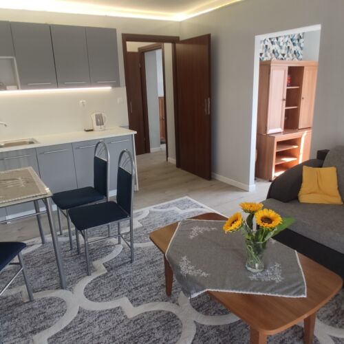 Apartament standard la etaj cu 2 camere pentru 3 pers.