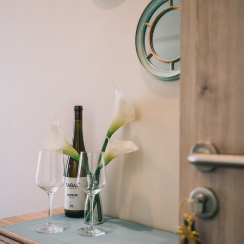 Pokój 1-osobowy z klimatyzacją z widokiem na ogród