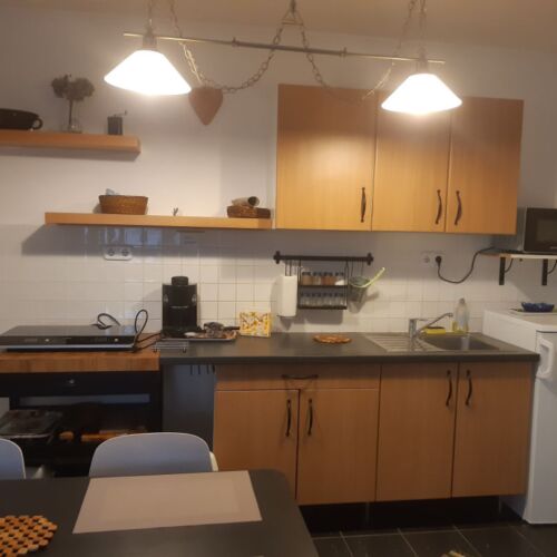 Apartament 4-osobowy Przyjazny podróżom rodzinnym z widokiem na ogród