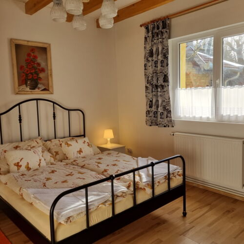 Apartament 2-osobowy cały dom z widokiem na jezioro z 1 pomieszczeniem sypialnianym (możliwa dostawka)