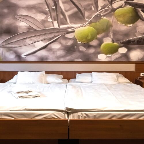 Pokój 2-osobowy Standard z łazienką (możliwa dostawka)