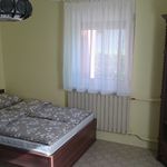 Air Conditioned Apartment for 15 Persons with Garden