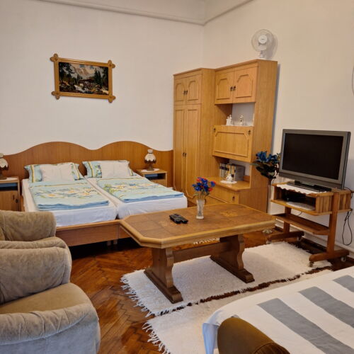 Triple Room with LCD/Plasma TV and Shower