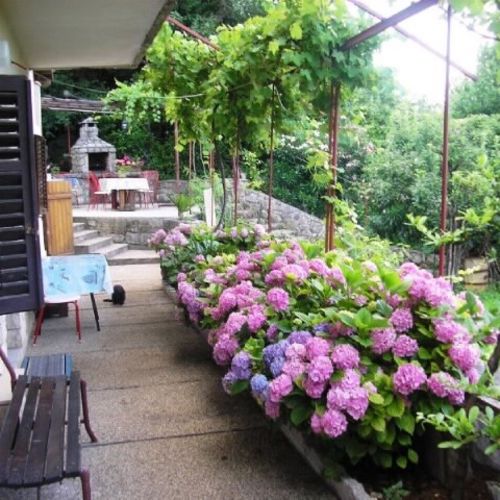 Apartament la parter cu vedere spre mare cu 3 camere pentru 4 pers. (se poate solicita pat suplimentar)