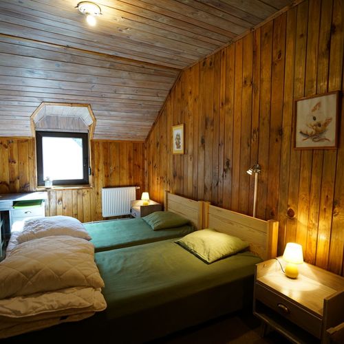 Camera twin cu vedere spre pădure c