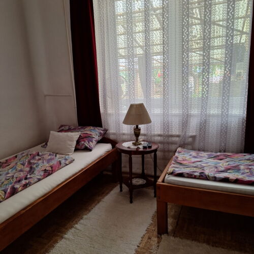 Twin Room with Shared Bathroom and Shared Kitchenette