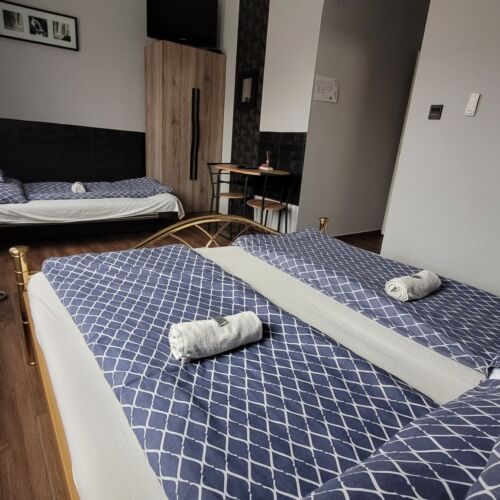 Camera dubla cu vedere spre oraș (se poate solicita pat suplimentar)