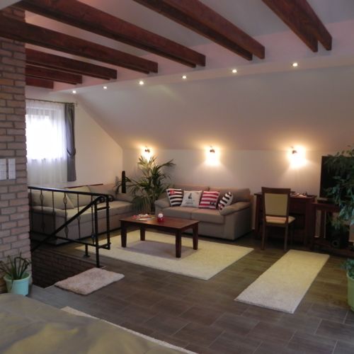 Premium Apartman pro 8 os. se 4 ložnicemi celý Dům