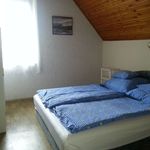 Emeleti Standard 10 fős apartman 4 hálótérrel