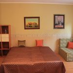 1-Room Family Apartment for 4 Persons ensuite