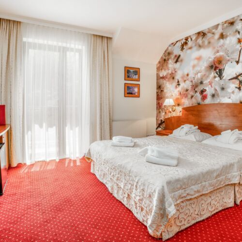 Pokój 2-osobowy Standard tV z płaskim ekranem