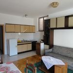 Economy Ground Floor 1-Room Apartment for 2 Persons (extra bed available)