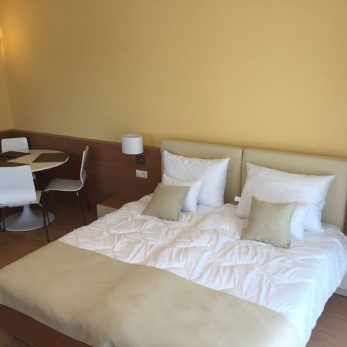 Business Apartman s manželskou postelí s 1 ložnicí s výhledem na jezero