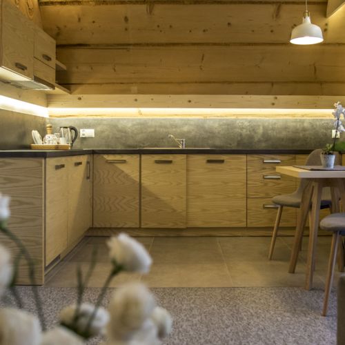 Apartament 4-osobowy z aneksem kuchennym z widokiem na góry z 1 pomieszczeniem sypialnianym