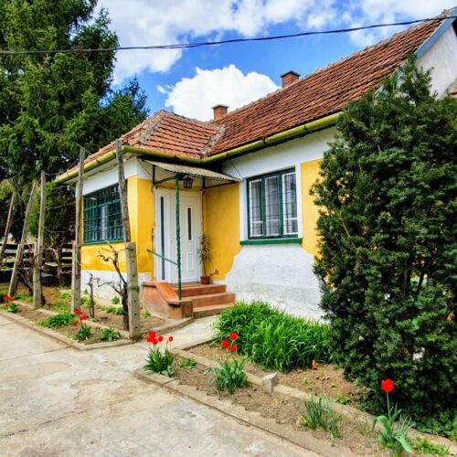 Superior Whole House 2-Room Apartment for 6 Persons (extra bed available)