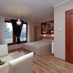 Apartman s klimatizací s manželskou postelí s 1 ložnicí na poschodí (s možností přistýlky)