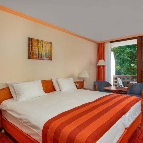 Superior Pokoj s klimatizací pro 2 os. (s možností přistýlky)