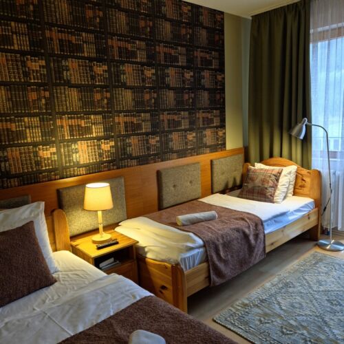 Business Forest View Twin Room