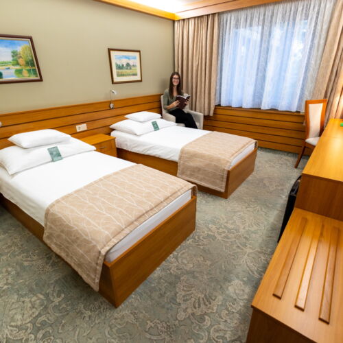 Standard Twin Room (extra bed available)