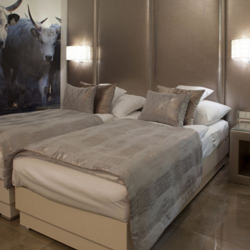 Superior kétágyas szoba