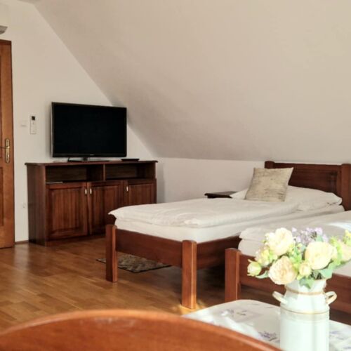 Premier Family Quadruple Room (extra bed available)